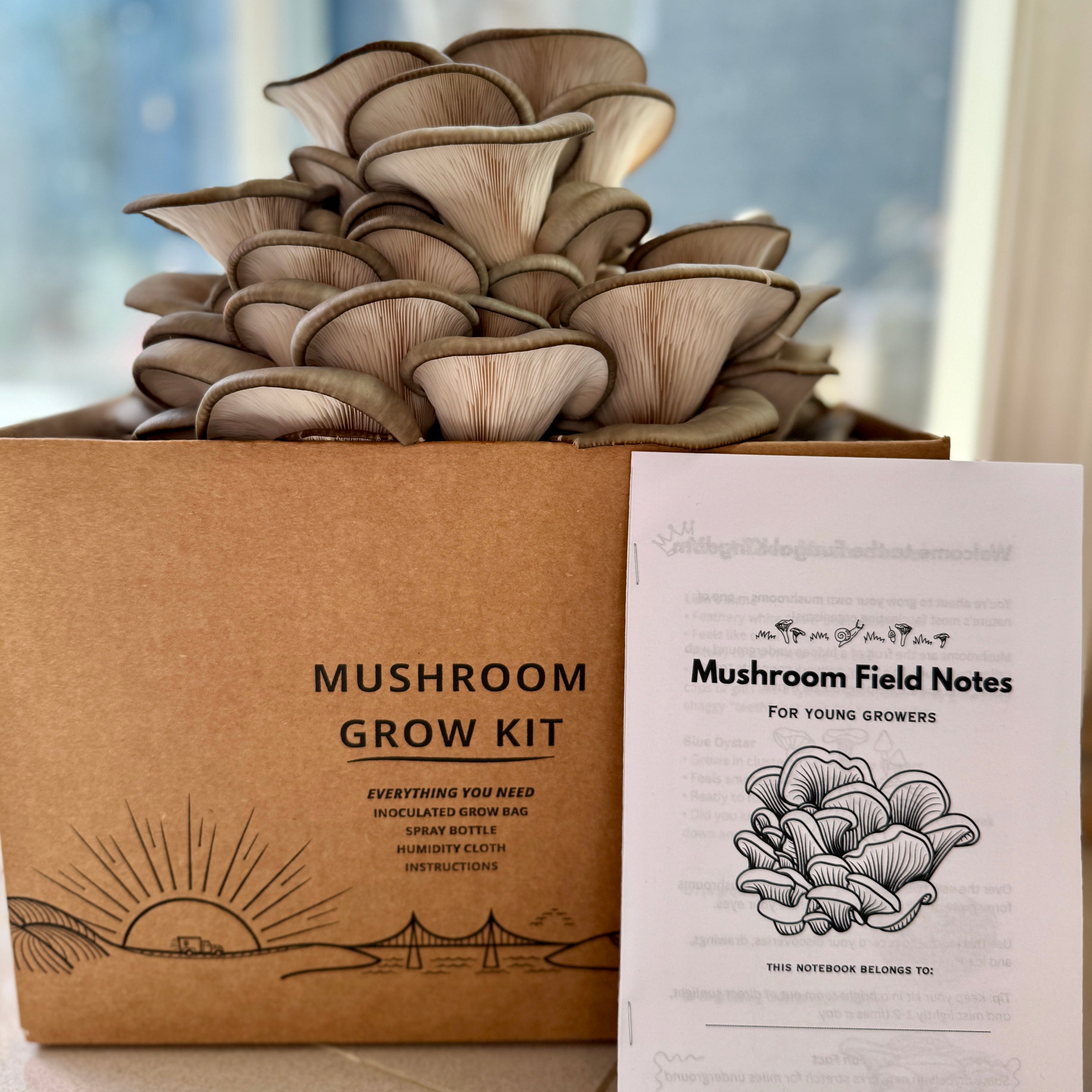 Lions Mane & Blue Oyster Mushroom Grow Kits