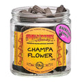 Champa Flower Wild Berry Backflow Cones